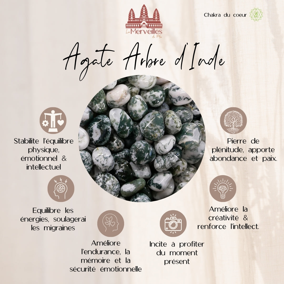 Orgonite dôme – Pétale de rose, Agate Arbre d’Inde & Quartz Rose