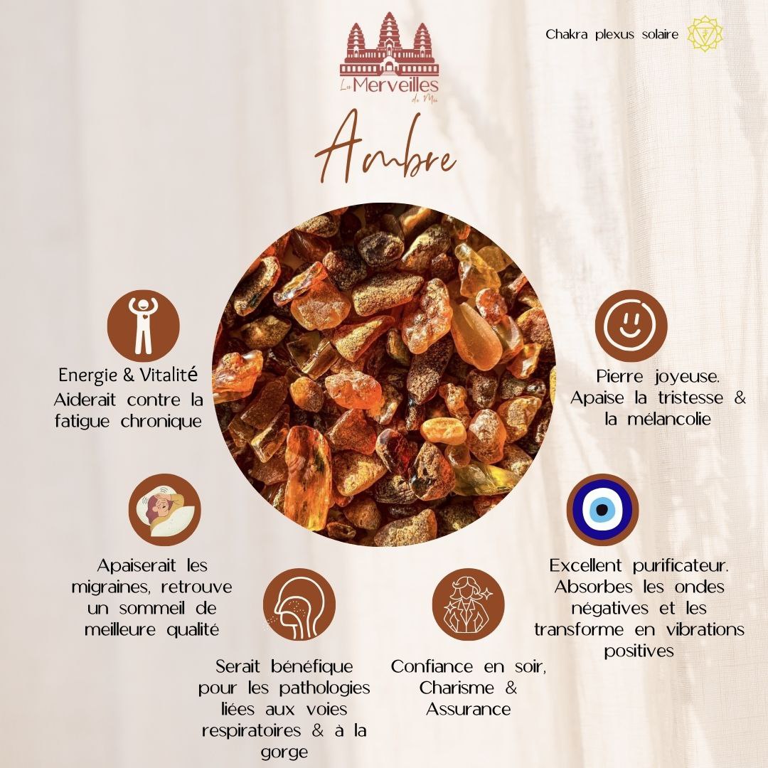 Orgonite de Poche Galet – Ambre & Chakra racine