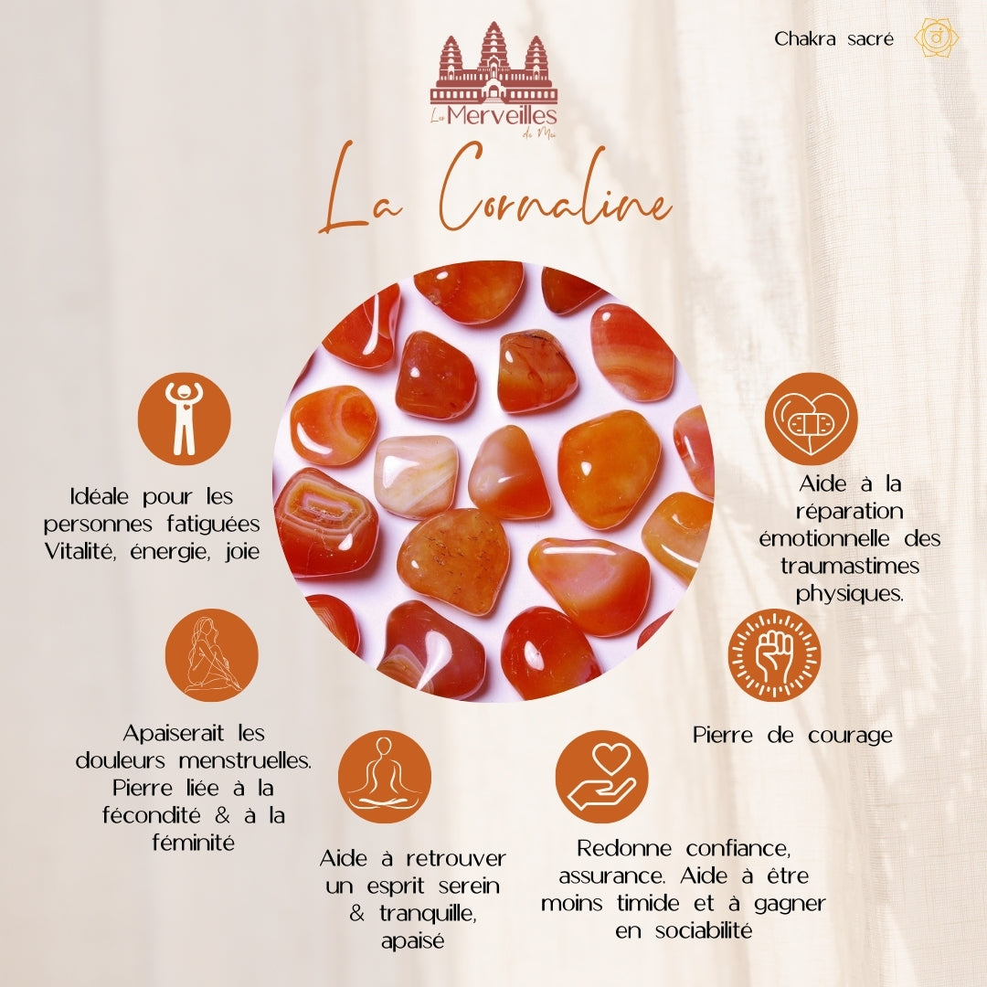 Orgonite cône – Cornaline & Œil de Tigre